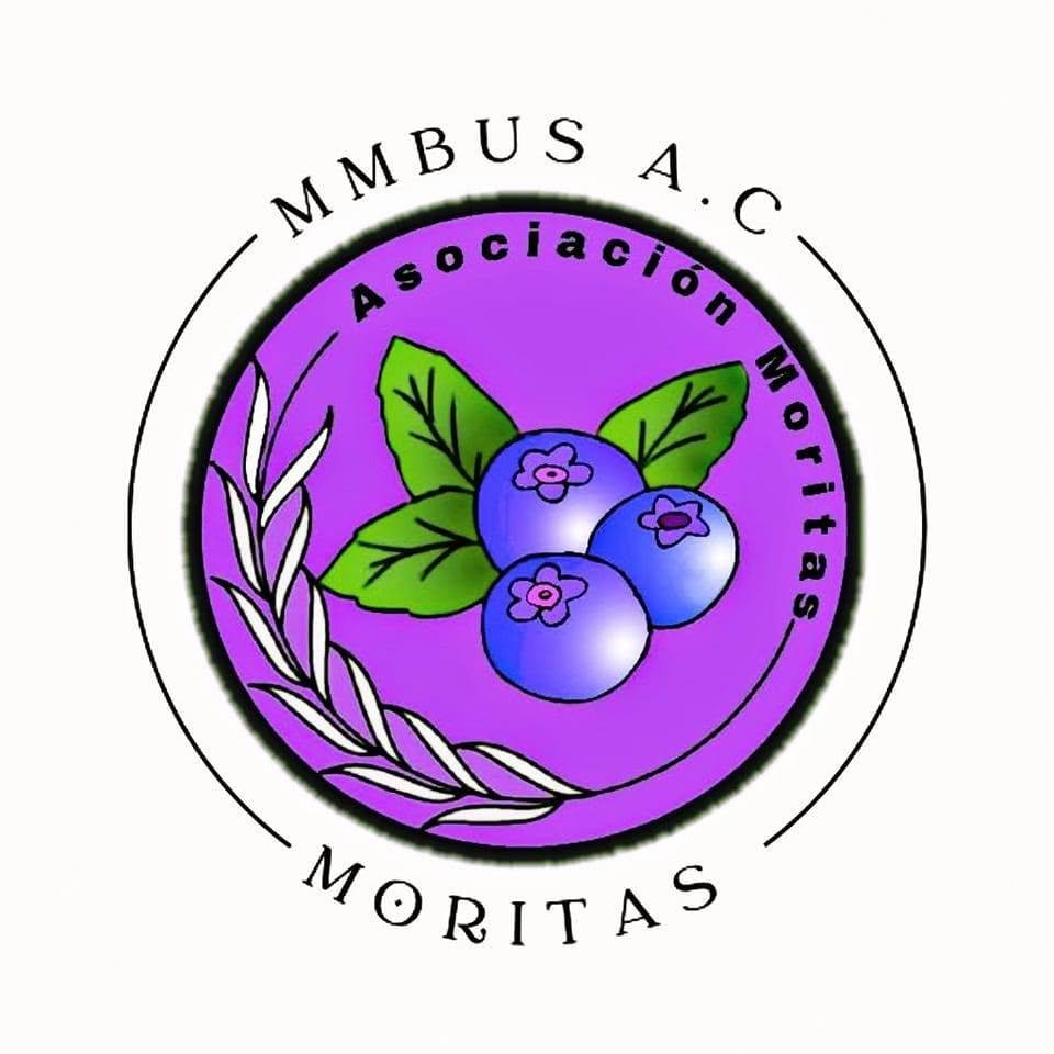 Sello de Fundación Moritas MMBUS A.C.